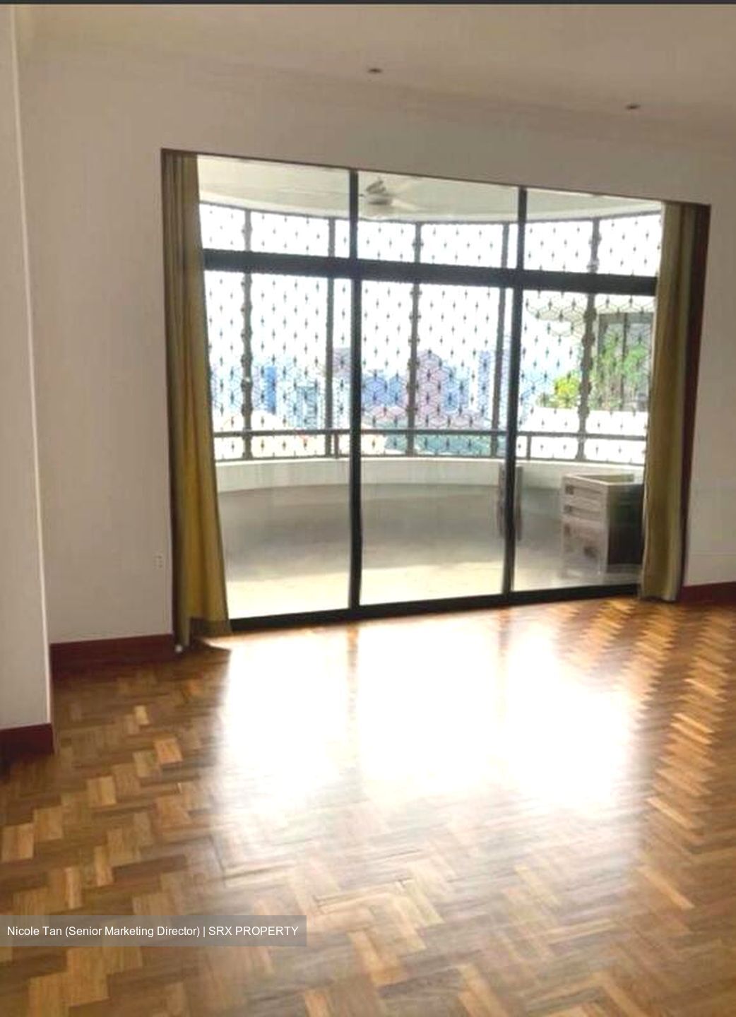 Regency Park (D10), Condominium #495644231